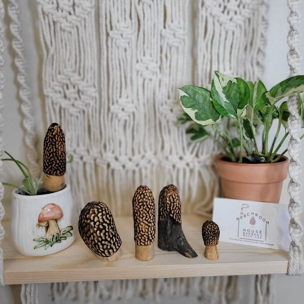 Mixed set of Carved Morel Merchrooms Variety Pack‎ Plant Stake Decor Mushroom